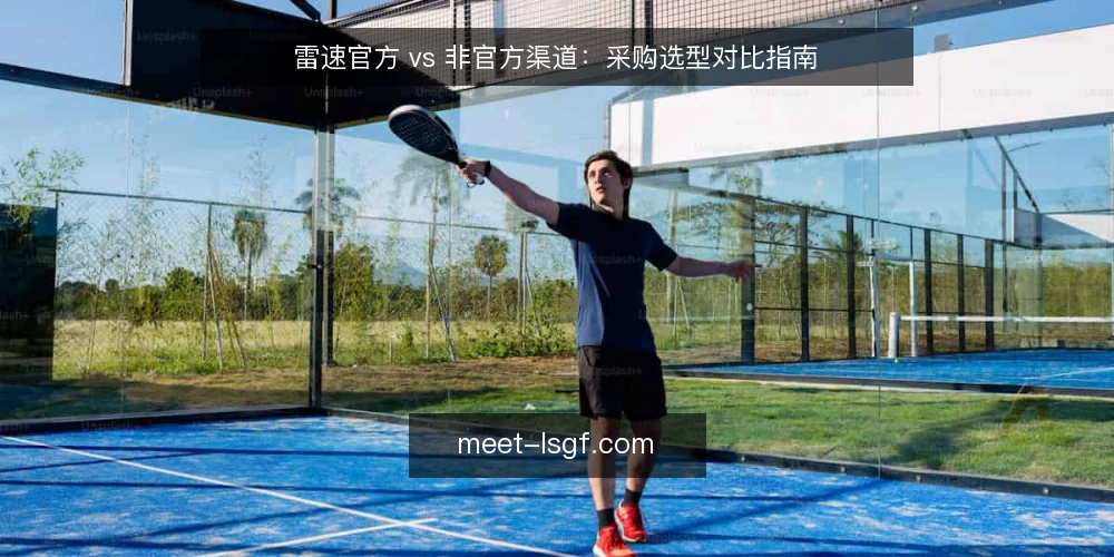 雷速官方 vs 非官方渠道:采购选型对比指南 — 明确采购需求与使用场景 配图