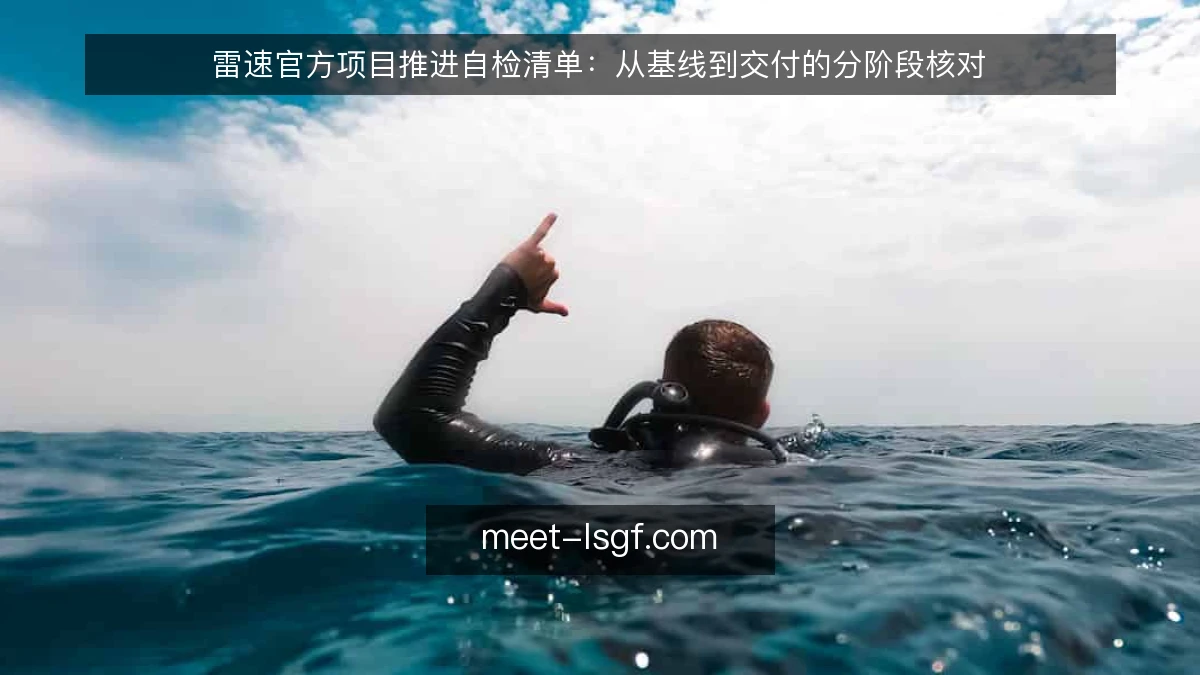 雷速官方项目推进自检清单：从基线到交付的分阶段核对